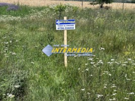 teren-intravilan-vanzare-562-mp-alba-micesti-zona-sesuri