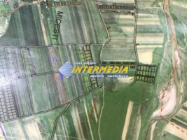 teren-intravilan-vanzare-562-mp-alba-micesti-zona-sesuri-6