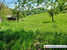 teren-intravilan-2600-mp-de-vanzare-rucar-arges-ideal-pentru-dezvoltari-turistice-sau-rezidentiale-1