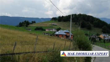 teren-intravilan-6800-mp-de-vanzare-in-dambovicioara-arges-ideal-pentru-proiecte-turistice-si-rezidentiale