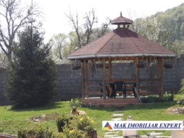 vila-de-lux-cu-7-camere-si-teren-de-4000-mp-de-vanzare-mihaesti-arges-3