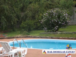 vila-de-lux-cu-7-camere-si-teren-de-4000-mp-de-vanzare-mihaesti-arges-9