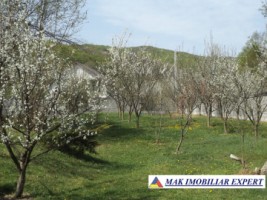 vila-de-lux-cu-7-camere-si-teren-de-4000-mp-de-vanzare-mihaesti-arges-22