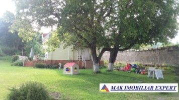 vila-de-lux-cu-7-camere-si-teren-de-4000-mp-de-vanzare-mihaesti-arges-16