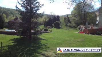 vila-de-lux-cu-7-camere-si-teren-de-4000-mp-de-vanzare-mihaesti-arges-17