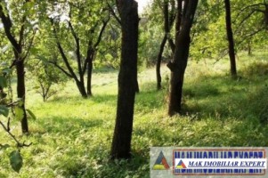 teren-intravilan-2700-mp-de-vanzare-in-poienarii-de-muscel-arges-ideal-pentru-constructii-rezidentiale-2