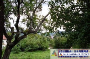 teren-intravilan-2700-mp-de-vanzare-in-poienarii-de-muscel-arges-ideal-pentru-constructii-rezidentiale-3