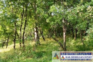 teren-intravilan-2700-mp-de-vanzare-in-poienarii-de-muscel-arges-ideal-pentru-constructii-rezidentiale-4