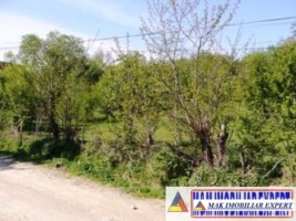 teren-intravilan-2700-mp-de-vanzare-in-poienarii-de-muscel-arges-ideal-pentru-constructii-rezidentiale-1