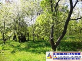 teren-intravilan-2700-mp-de-vanzare-in-poienarii-de-muscel-arges-ideal-pentru-constructii-rezidentiale-5