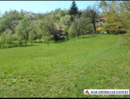 de-vanzare-teren-5091-mp-intravilan-marcus-campulung-muscel-arges-imobiliare