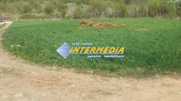 de-la-500-mp-teren-intravilan-de-vanzare-zona-valea-popii