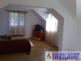 vila-6-camere-15-ha-teren-vladesti-4