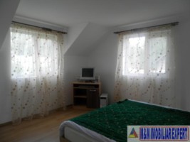 vila-6-camere-15-ha-teren-vladesti-6