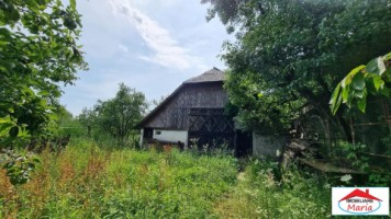 casa-in-viile-satu-mare-55000-id-22736-3