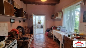 casa-in-viile-satu-mare-55000-id-22736-8