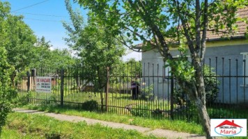 casa-in-viile-satu-mare-55000-id-22736-1