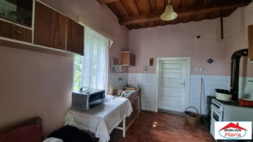 casa-in-viile-satu-mare-55000-id-22736-10
