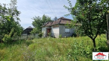 casa-in-viile-satu-mare-55000-id-22736-11