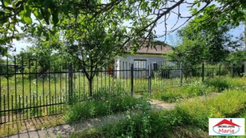 casa-in-viile-satu-mare-55000-id-22736-12