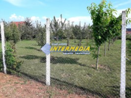 teren-intravilan-481mp-alba-micesti-3