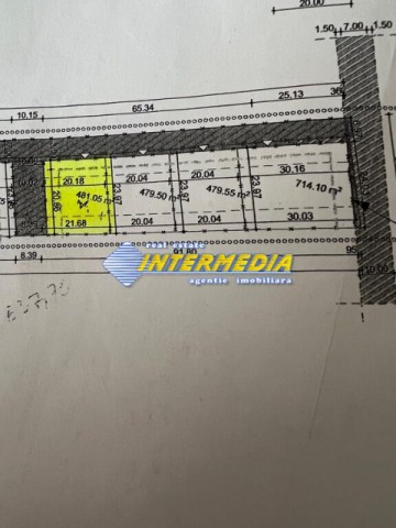 teren-intravilan-481mp-alba-micesti-1