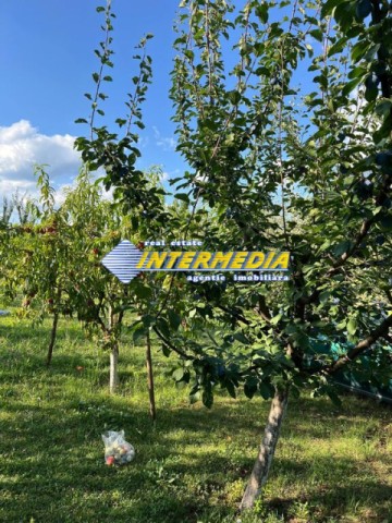 teren-intravilan-481mp-alba-micesti-4