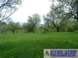 2-parcele-x-800-mp-intravilan-de-vanzare-pe-calea-targovistei-in-campulung-muscel-arges-ideal-pentru-constructii-rezidentiale-1