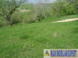 2-parcele-x-800-mp-intravilan-de-vanzare-pe-calea-targovistei-in-campulung-muscel-arges-ideal-pentru-constructii-rezidentiale-2