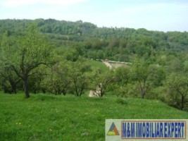 2-parcele-x-800-mp-intravilan-de-vanzare-pe-calea-targovistei-in-campulung-muscel-arges-ideal-pentru-constructii-rezidentiale-6