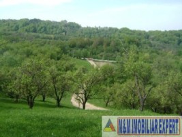 2-parcele-x-800-mp-intravilan-de-vanzare-pe-calea-targovistei-in-campulung-muscel-arges-ideal-pentru-constructii-rezidentiale-10