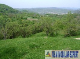 2-parcele-x-800-mp-intravilan-de-vanzare-pe-calea-targovistei-in-campulung-muscel-arges-ideal-pentru-constructii-rezidentiale-7