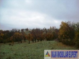 2-parcele-x-800-mp-intravilan-de-vanzare-pe-calea-targovistei-in-campulung-muscel-arges-ideal-pentru-constructii-rezidentiale-16