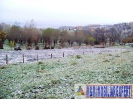 2-parcele-x-800-mp-intravilan-de-vanzare-pe-calea-targovistei-in-campulung-muscel-arges-ideal-pentru-constructii-rezidentiale-18