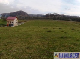 teren-intravilan-2500-mp-de-vanzare-pe-calea-targovistei-campulung-muscel-arges-ideal-pentru-constructii-rezidentiale