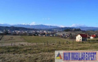 teren-intravilan-2500-mp-de-vanzare-pe-calea-targovistei-campulung-muscel-arges-ideal-pentru-constructii-rezidentiale-10