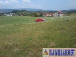 teren-intravilan-2500-mp-de-vanzare-pe-calea-targovistei-campulung-muscel-arges-ideal-pentru-constructii-rezidentiale-11