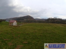 teren-intravilan-2500-mp-de-vanzare-pe-calea-targovistei-campulung-muscel-arges-ideal-pentru-constructii-rezidentiale-13