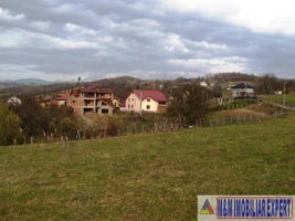 teren-intravilan-2500-mp-de-vanzare-pe-calea-targovistei-campulung-muscel-arges-ideal-pentru-constructii-rezidentiale-1