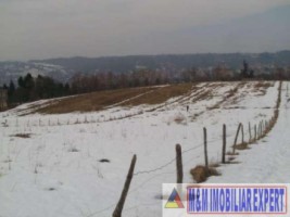 teren-intravilan-2500-mp-de-vanzare-pe-calea-targovistei-campulung-muscel-arges-ideal-pentru-constructii-rezidentiale-3