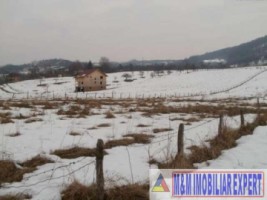 teren-intravilan-2500-mp-de-vanzare-pe-calea-targovistei-campulung-muscel-arges-ideal-pentru-constructii-rezidentiale-4