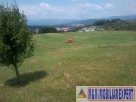 teren-intravilan-2500-mp-de-vanzare-pe-calea-targovistei-campulung-muscel-arges-ideal-pentru-constructii-rezidentiale-8