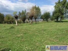 teren-extravilan-111-ha-de-vanzare-pe-calea-targovistei-in-campulung-muscel-arges-ideal-pentru-activitati-agricole