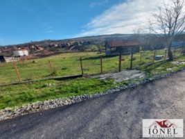 teren-intravilan-3664-mp-de-vanzare-in-henig-6