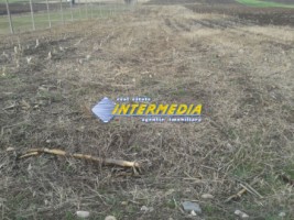 teren-intravilan-de-vanzare-suprafata-1800-mp-in-zona-barabant