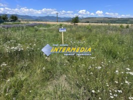 teren-intravilan-593-mp-de-vanzare-cu-apa-curent-gaz-deschidere-18-ml-1