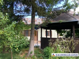 vila-de-vanzare-arges-vila-5-camere-cu-piscina-si-teren-de-1020-mp-in-balilesti-5