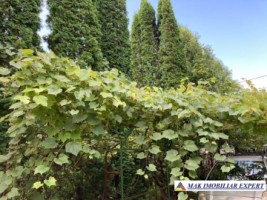 vila-de-vanzare-arges-vila-5-camere-cu-piscina-si-teren-de-1020-mp-in-balilesti-14