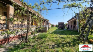 casa-in-odoreu-12-arii-45000-euro-id-22425