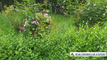 apartament-3-camere-cf1-parter-centru-campulung-muscel-arges-56